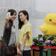 Image for article titled In China, There Are Too Many Giant Rubber Duck Rip-Offs
